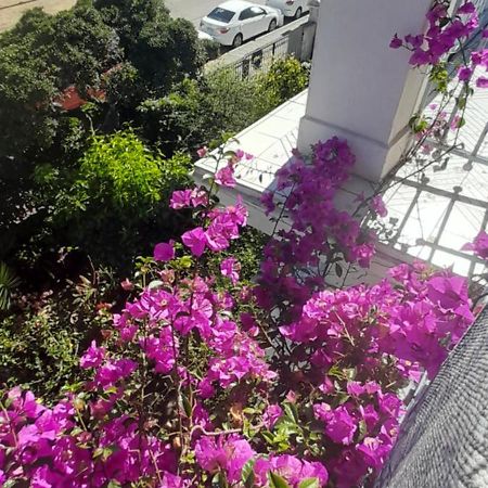 Blanca Rosa Valparaiso B&B Eksteriør billede