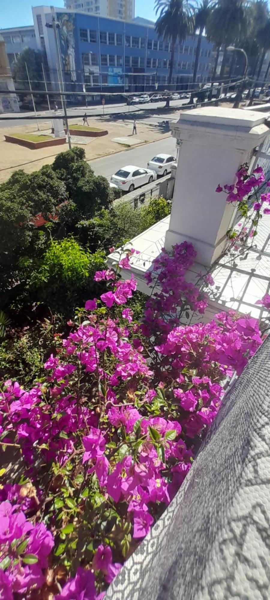 Blanca Rosa Valparaiso B&B Eksteriør billede