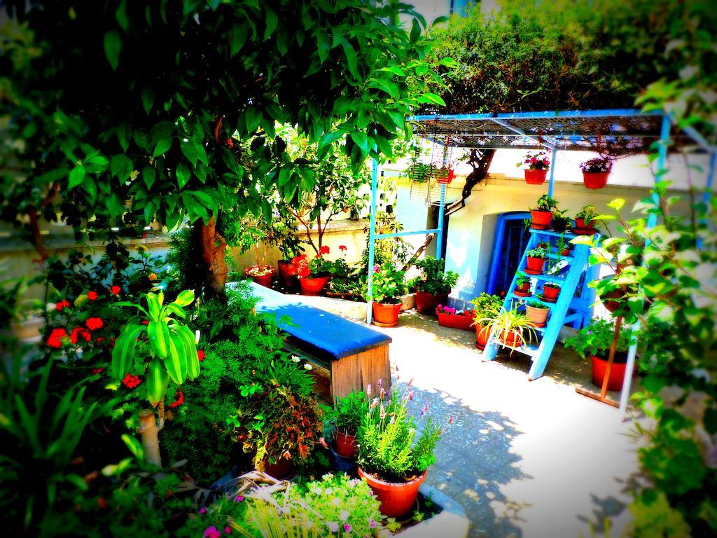 Blanca Rosa Valparaiso B&B Eksteriør billede